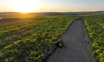 Cosan lidera a construção do futuro sustentável do Brasil