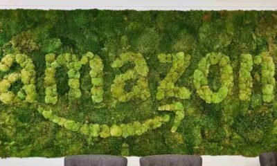 Com plataforma Sabiá, Amazon se prepara para ser