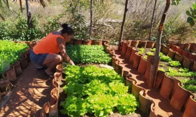 Invisíveis, os quintais são instrumentos poderosos contra a fome no Brasil