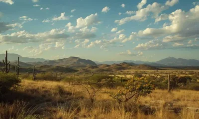 A Caatinga, bioma mais pobre do Brasil, pode ser uma solução para a fome