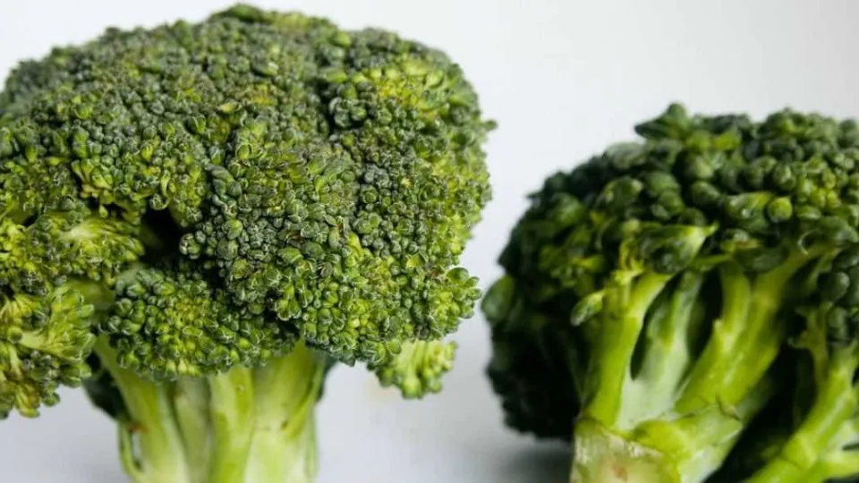 Brócolis têm baixo teor calórico e é rico em fibras e vitaminas