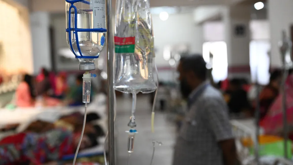 Febre amarela e dengue causam quadros de hepatite; entenda