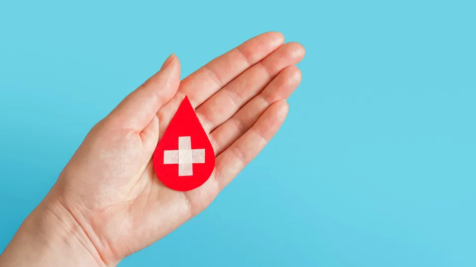 Hemofilia: conheça os sintomas da doença rara marcada por sangramentos