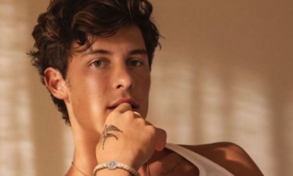 Shawn Mendes mostra que é ‘devoto’ do Brasil e faz referência a Fernanda Torres no Lollapalooza