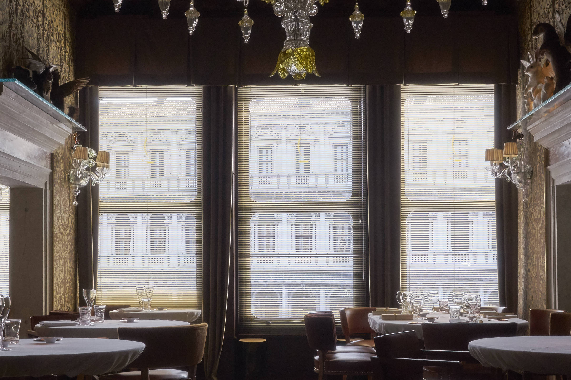 Conheça o Quadri, restaurante de Veneza do século 19 – 06/06/2025 – Turismo