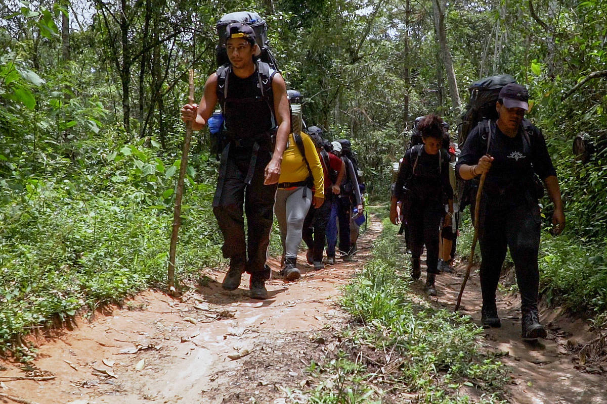 Dicas para viver (e sobreviver) na natureza – 25/06/2025 – É Logo Ali