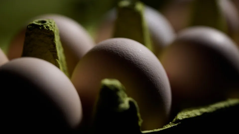 Como evitar essa doença encontrada em alimentos comuns?