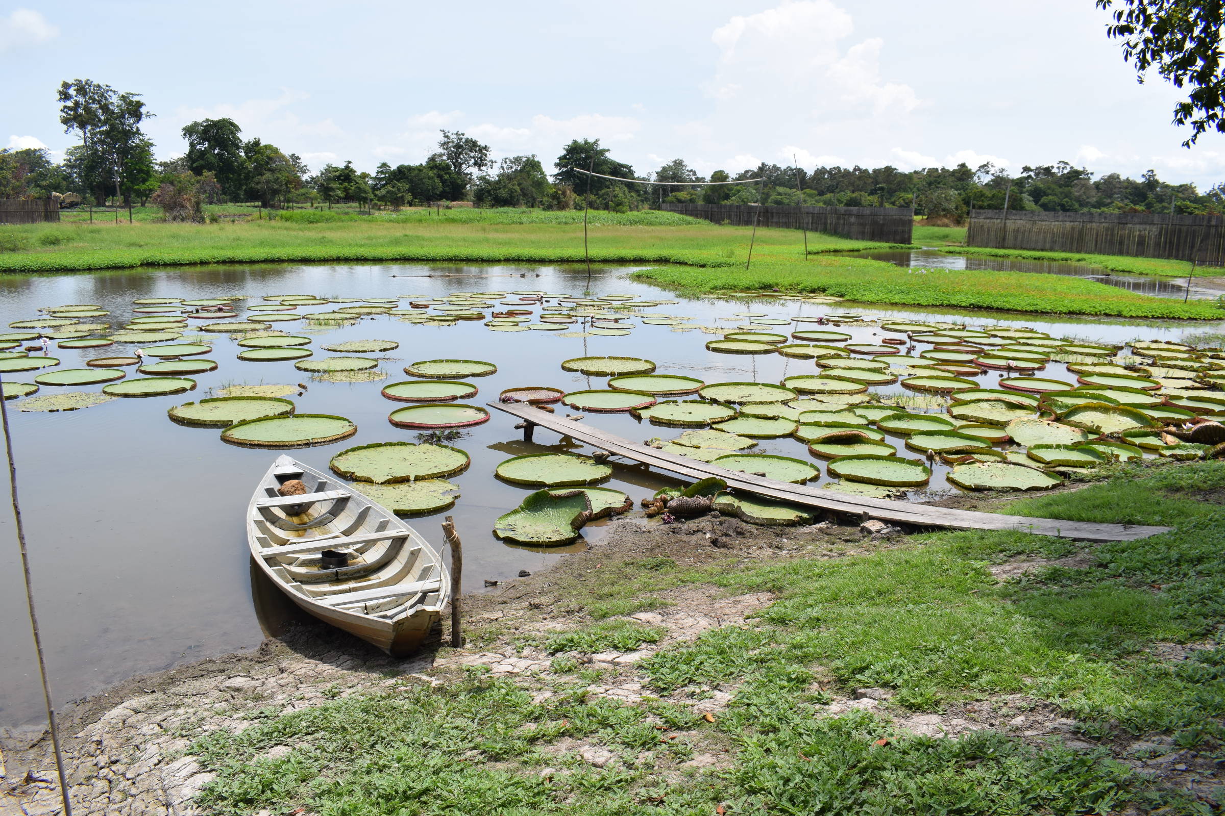 Comunidades do rio Arapiuns preservam cultura e espiritualidade tradicionais – 16/07/2025 – Turismo