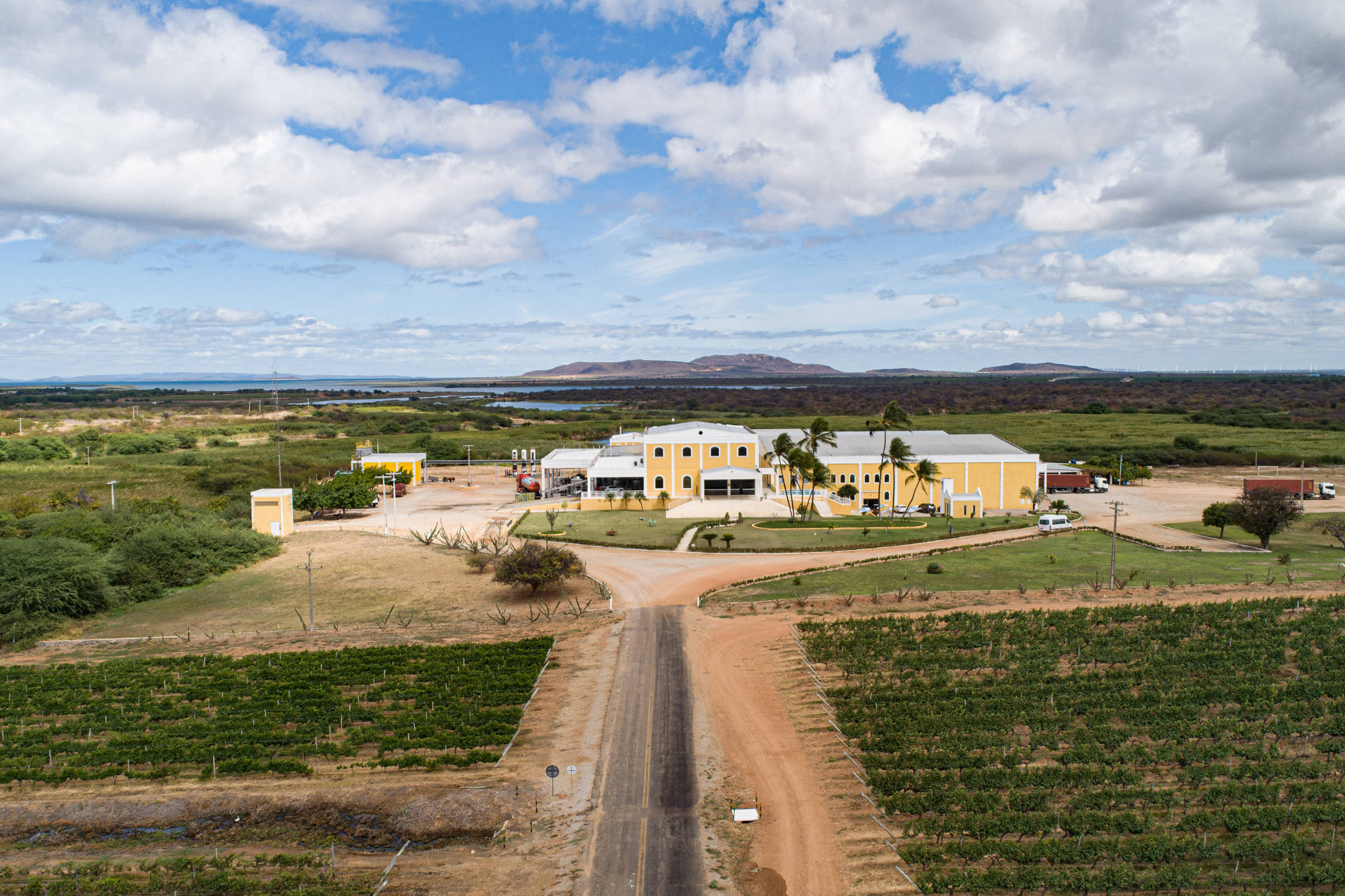 Conheça o turismo de vinhos no vale do São Francisco – 23/07/2025 – Turismo