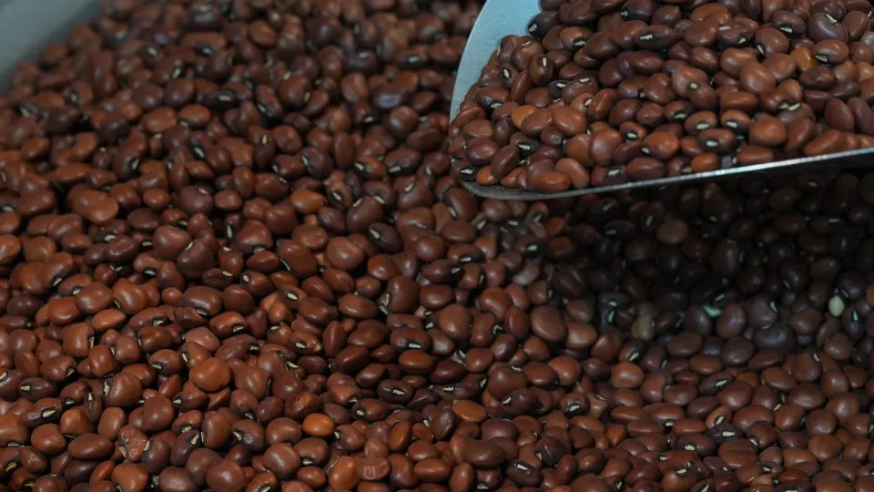 Feijão para uma vida melhor: a nova dieta revolucionária