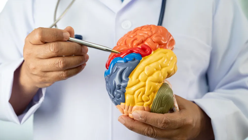 Médico fala 11 hábitos que podem reduzir pela metade o risco de Alzheimer