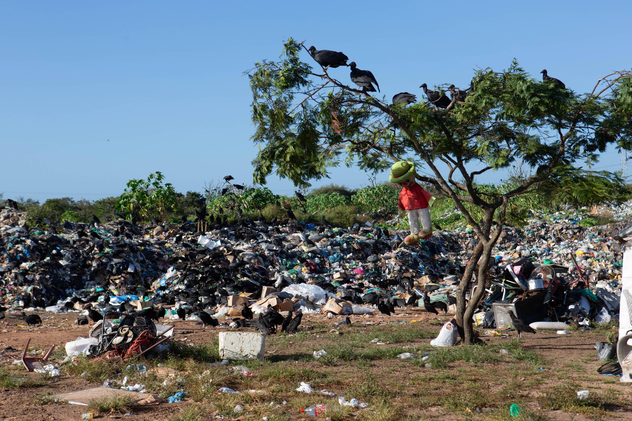 Lençóis Maranhenses vivem problemas com lixo e saneamento – 27/08/2025 – Turismo