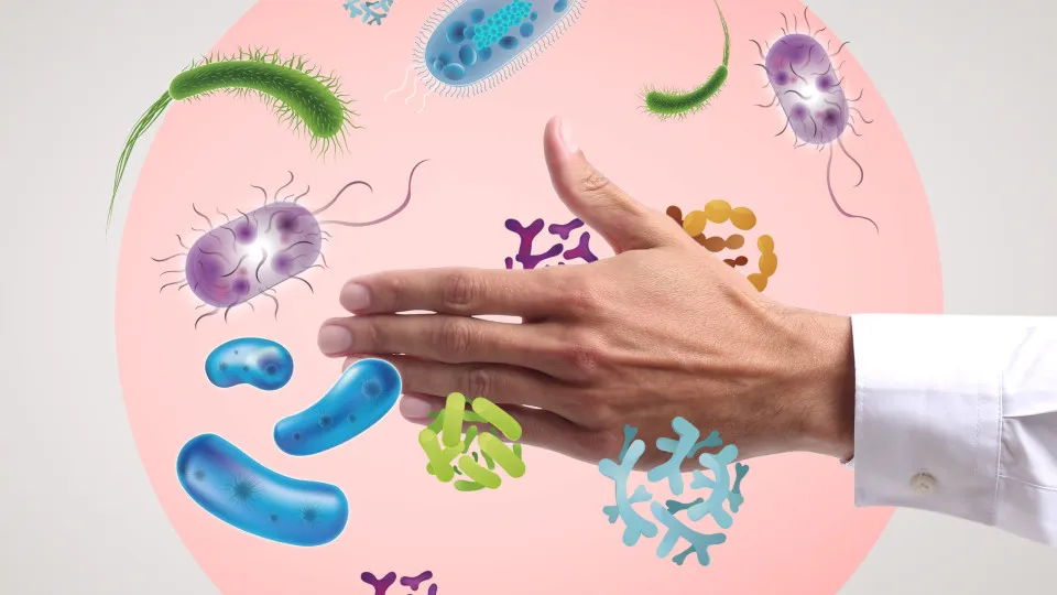 Diferenças entre vírus, bactérias e fungos: como reconhecer e tratar