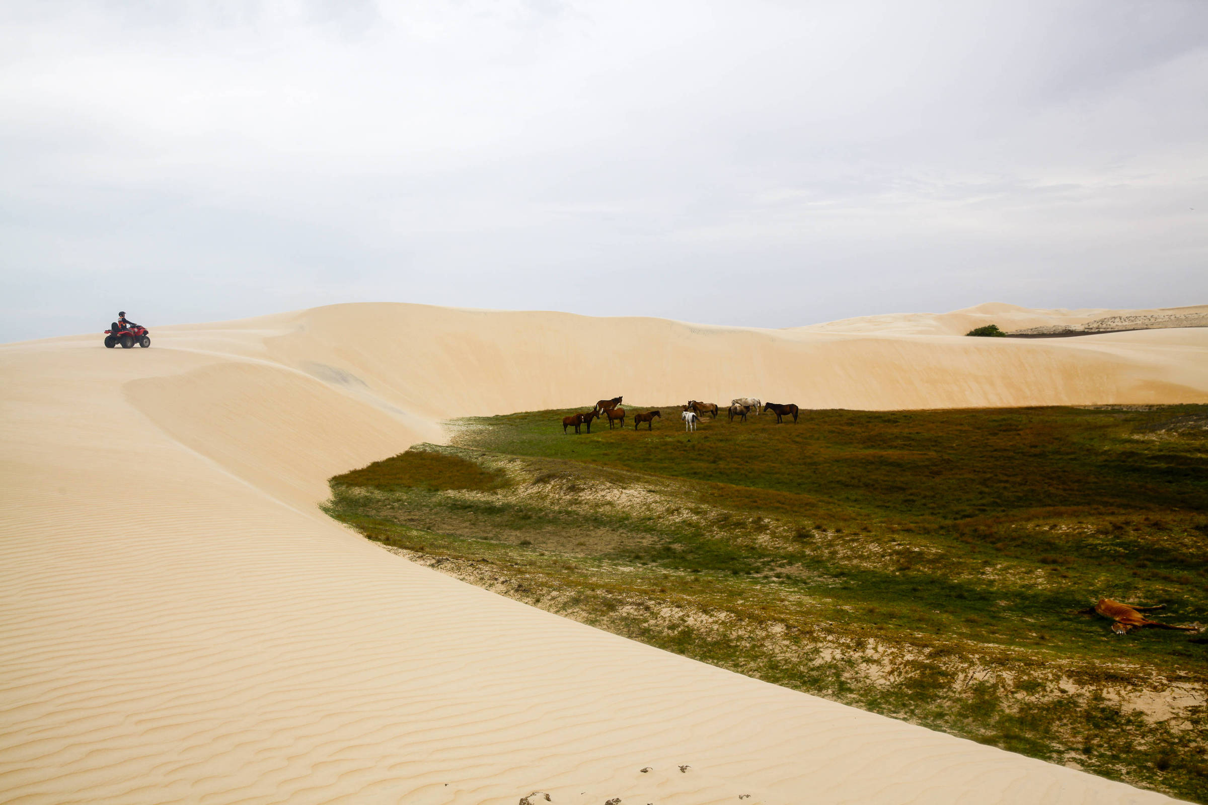 Parnaíba: o que conhecer nos Lençóis do Piauí – 17/09/2025 – Turismo