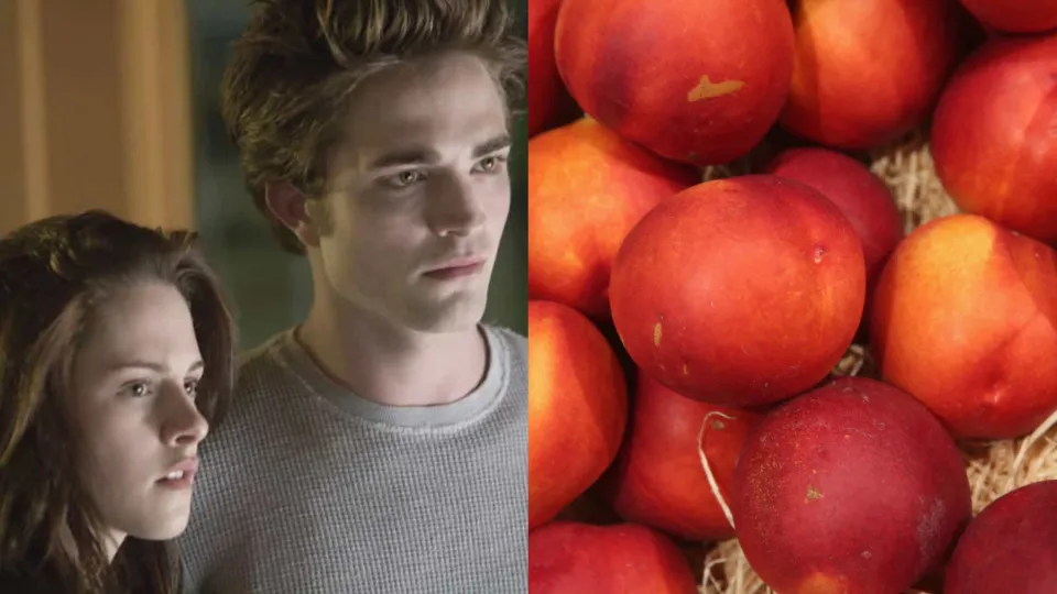 Vida eterna? As maneiras mais estranhas de se tornar imortal