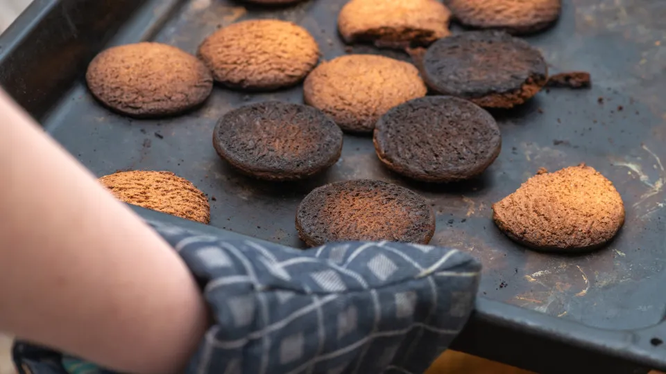Comida queimada faz realmente mal à saúde?