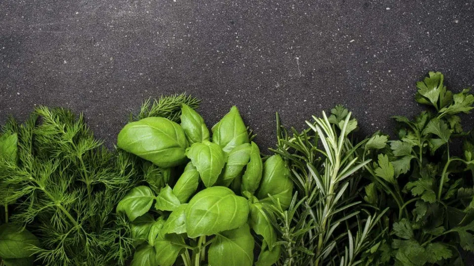 Como conservar ervas frescas por mais tempo (sem deixá-las murchar)