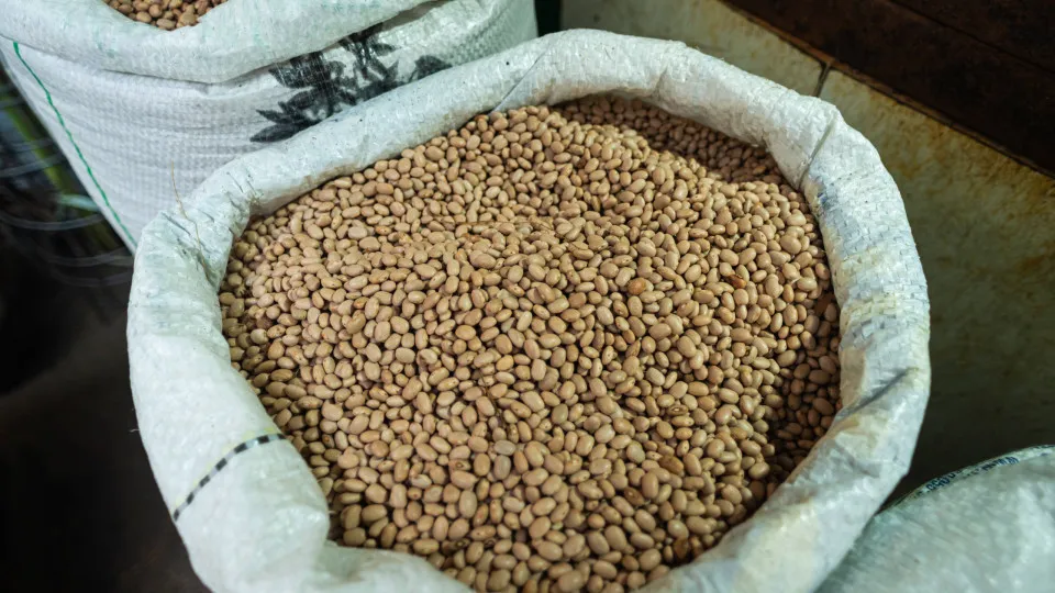 Feijão para uma vida melhor: a nova dieta revolucionária