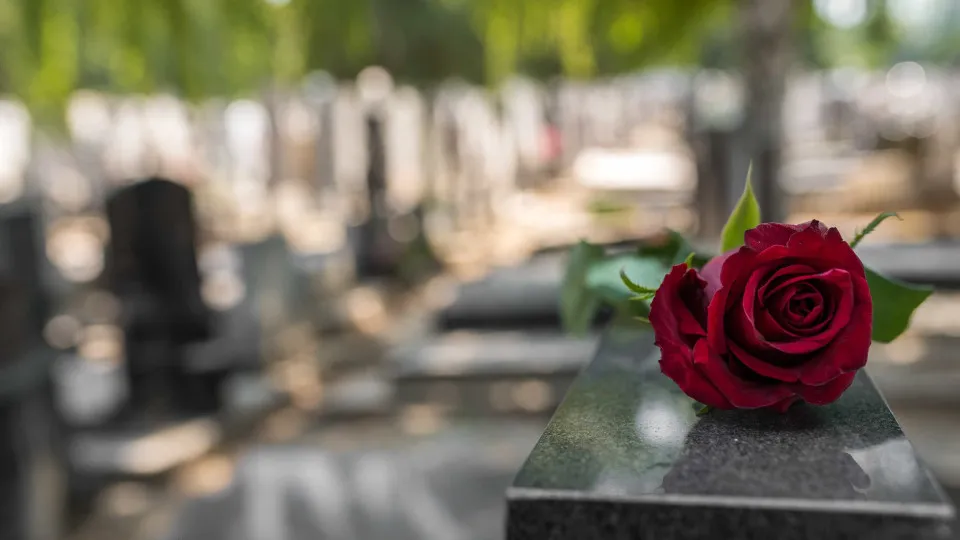 O que acontece no corpo quando morremos