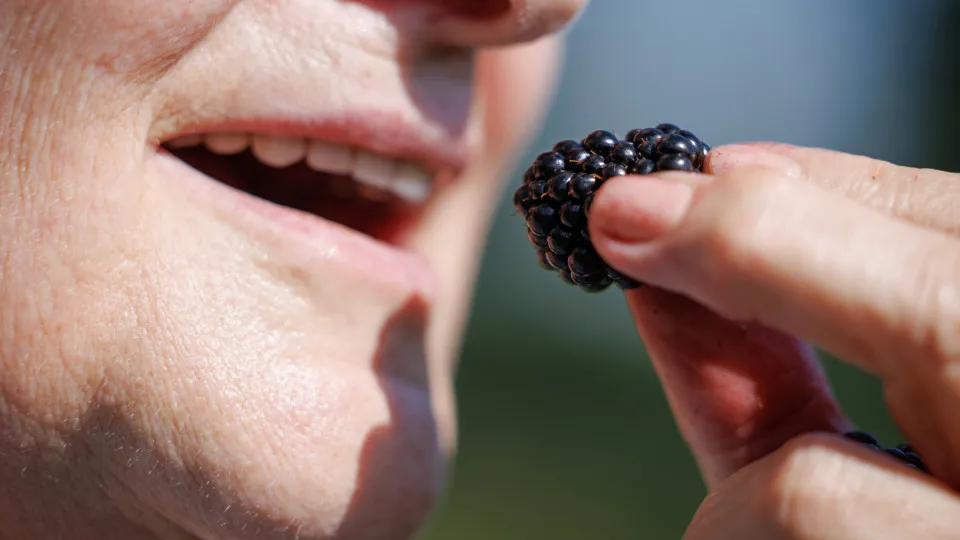 Detox de metais pesados: o que é e por que fazer