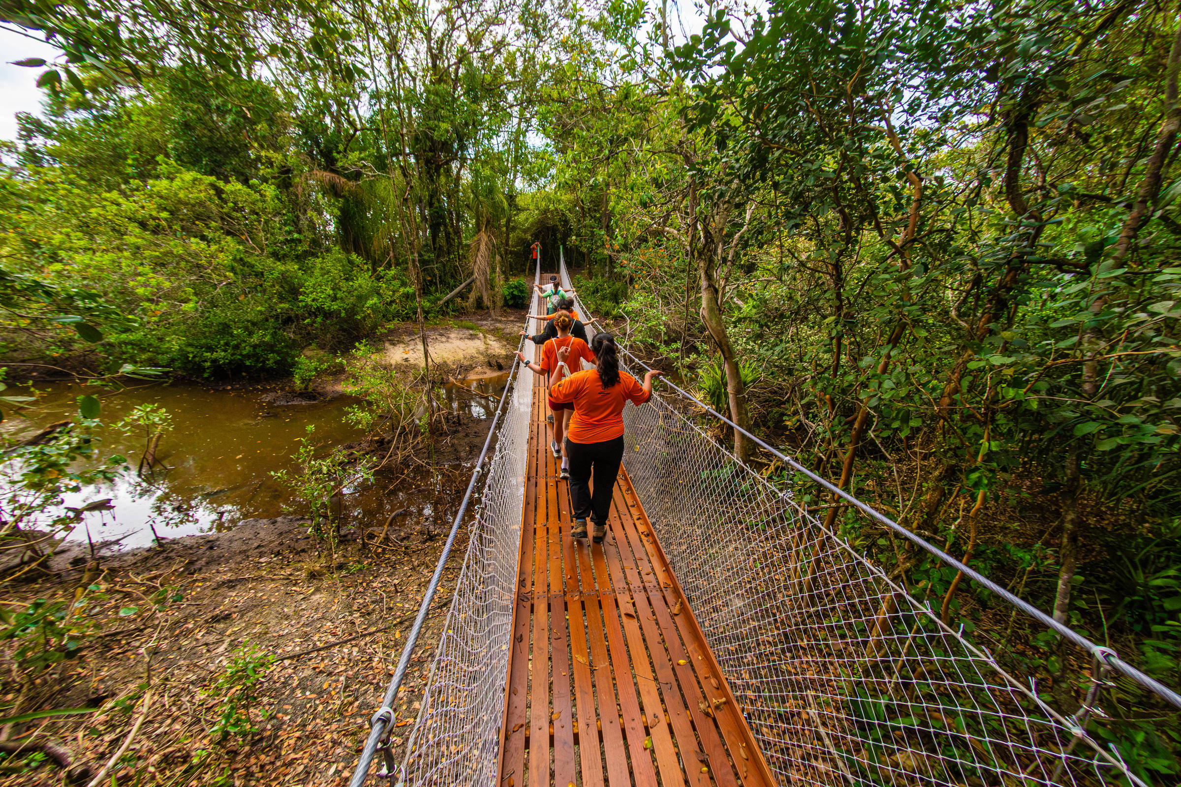 Parque Nacional do Superagui ganha trilha bimodal no PR – 17/12/2025 – É Logo Ali